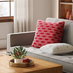 Threshold Red and White Holiday Pillow